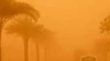 خريطة سقوط الأمطار: هل تصل الموجة الباردة إلى القاهرة ومحافظات الصعيد؟